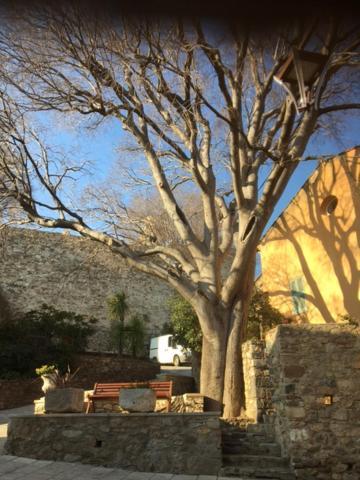 Logement Neuf Centre Du Village Aux Pieds Du Chateau Grimaud Exterior foto
